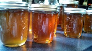 Cover photo for Bees Buzzing to Make Honey!