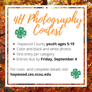 Cover photo for 4-H Photography Contest