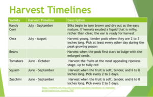 Harvest timelines