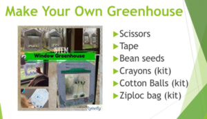 How to Make Your Own Greenhouse