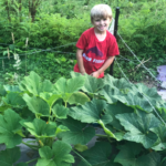 4-H Gardener