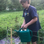 4-H Gardener