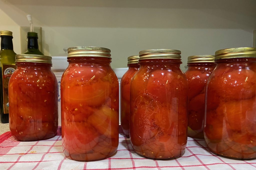 Home preserved tomatoes in ball jars.