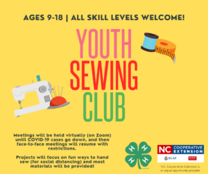 Cover photo for Join Our 4-H Youth Sewing Club This Fall!