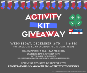 Cover photo for Home for the Holidays?  Kill Boredom With 4-H Activity Kits