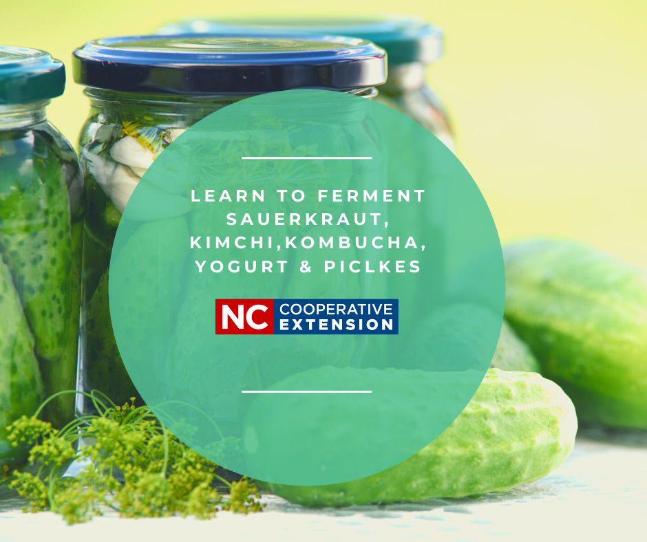 fermented pickles, cucumbers, "Learn to Ferment" Sauerkraut, Kimchi, Kombucha, yogurt, pickles