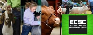 Cover photo for Eastern Carolina Showmanship Circuit 2021 Dates