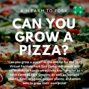 Cover photo for 4-H Farm to Fork Day Camp