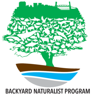 Cover photo for Register Now for the Carolina Backyard Naturalist Program