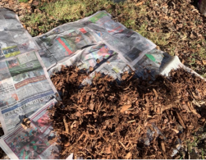 Cover photo for Do You Still Read the Newspaper? Do You Happen to Be a Gardener?
