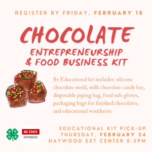Cover photo for Chocolate Entrepreneurship & Food Business Kit