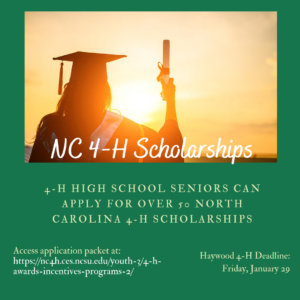 Cover photo for North Carolina 4-H Scholarships