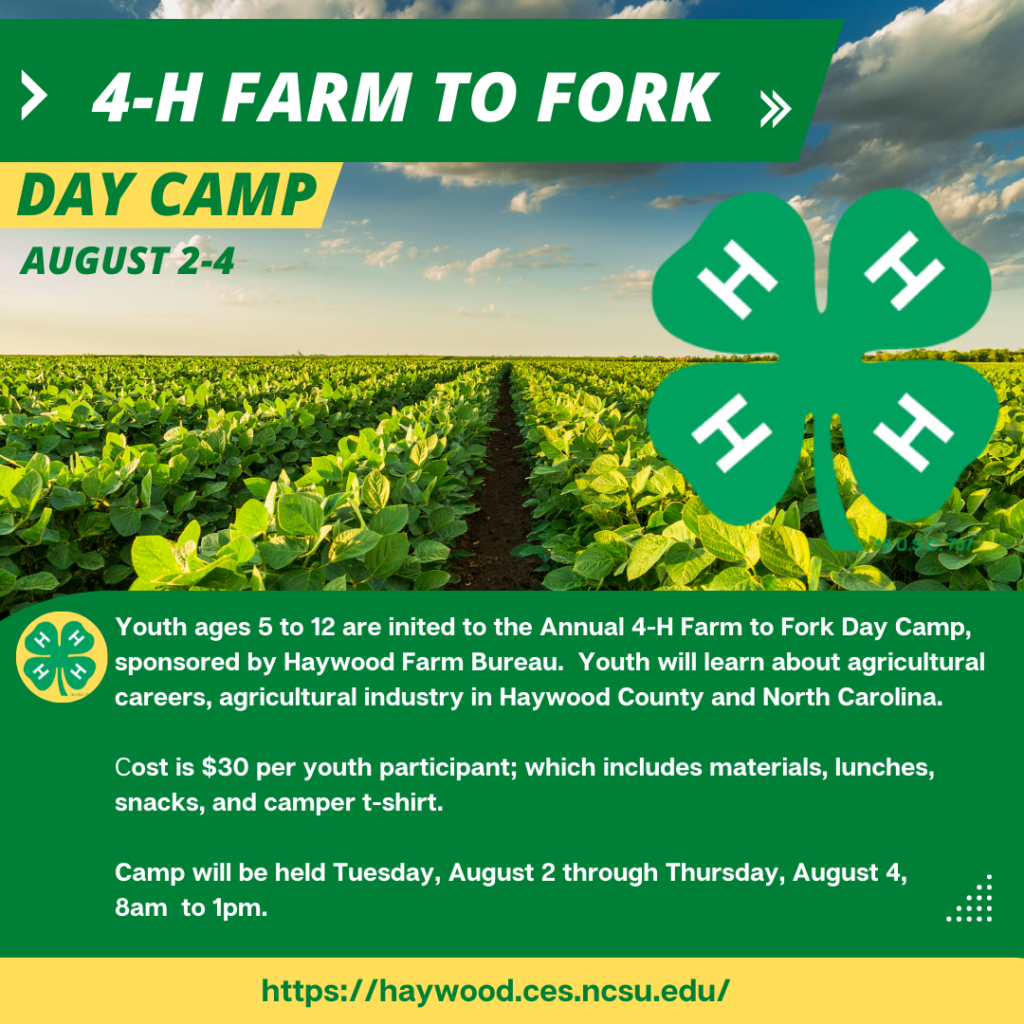4-H Farm to Fork day camp, August 2 - August 4.