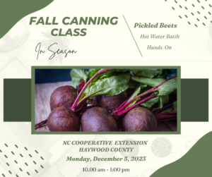 Fall Canning class, fresh beets with green tops