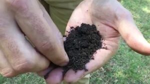 Cover photo for Time to Submit Your Soil Samples