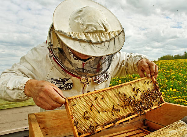 A person in beekeeping gear.