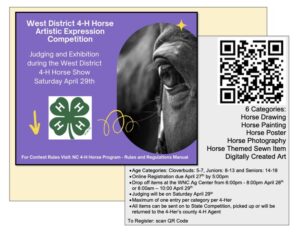 Cover photo for West District 4-H Horse Artistic Expression Competition