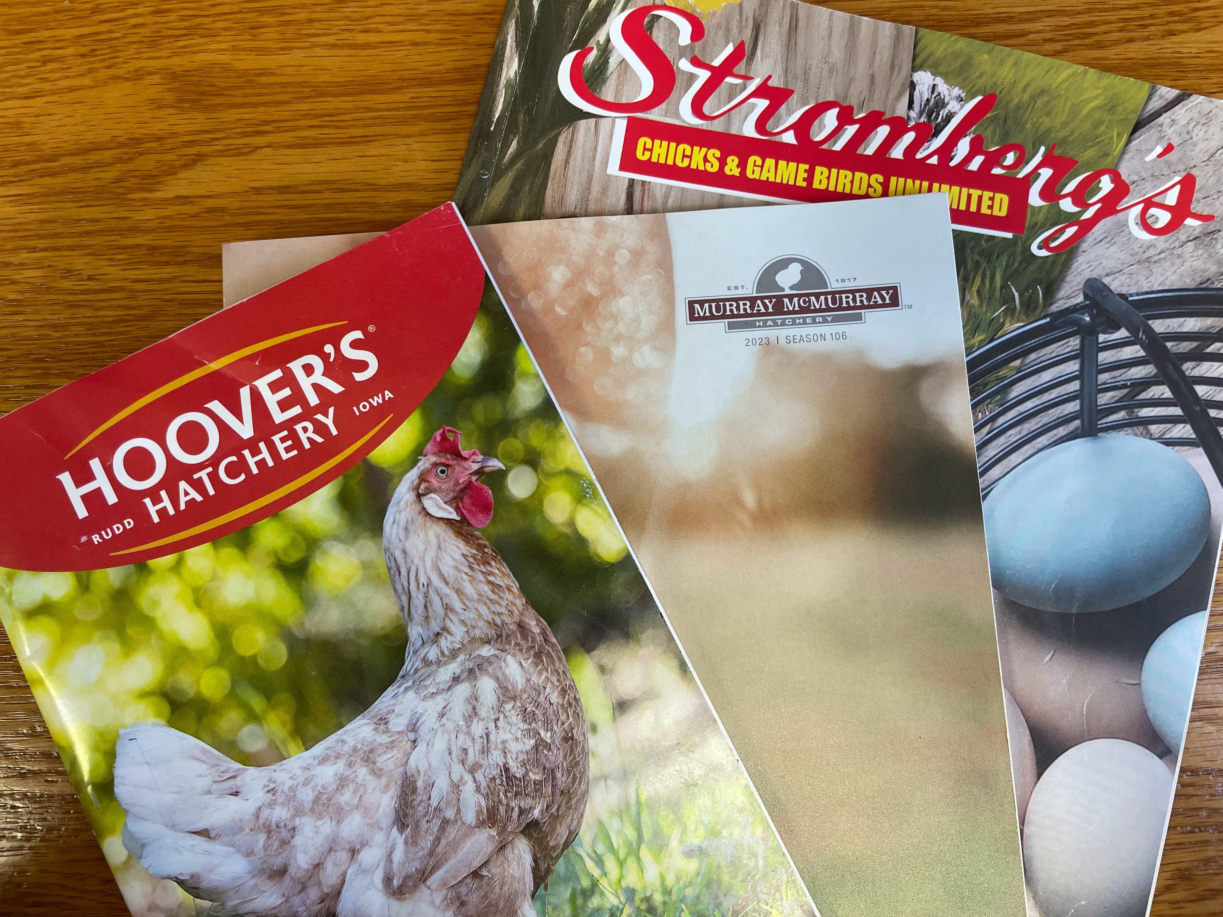 Poultry Magazines