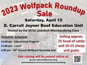 Cover photo for 2023 Wolfpack Roundup Cattle, Sheep and Goat Sale