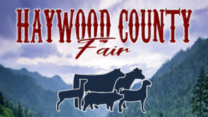 Cover photo for 2023 Haywood County Fair Livestock Shows