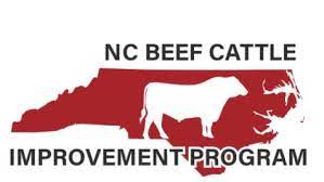 NC Beef Cattle Improvement Program