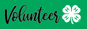 Cover photo for Volunteer to Develop Youth With Haywood County 4-H