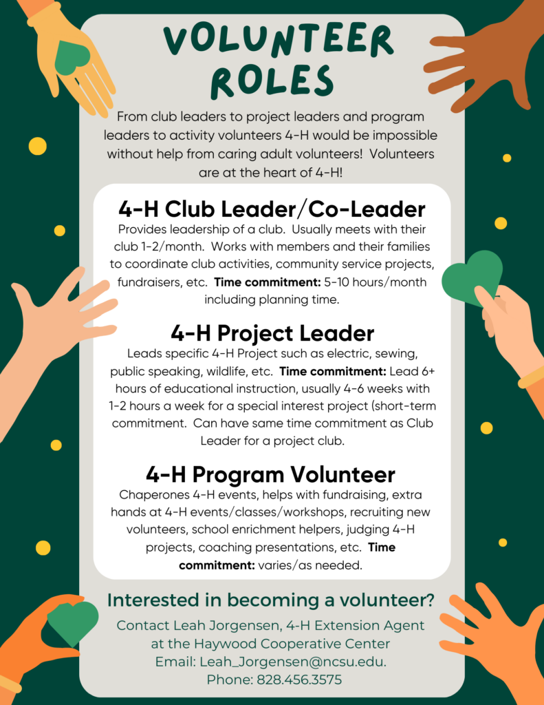 Volunteer Roles