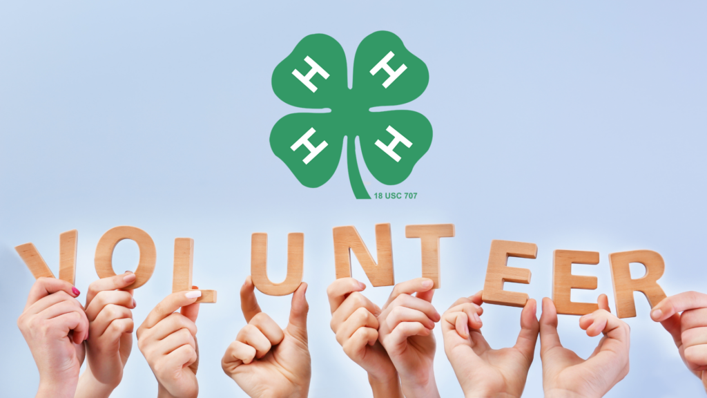 The word volunteer spelled out with hands holding up each letter on a blue/grey background. A green 4-H clover sits above the word volunteer.