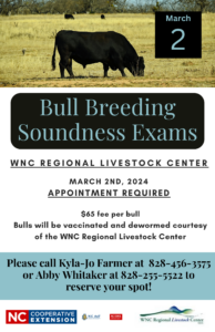 Cover photo for Spring Bull Breeding Soundness Exams