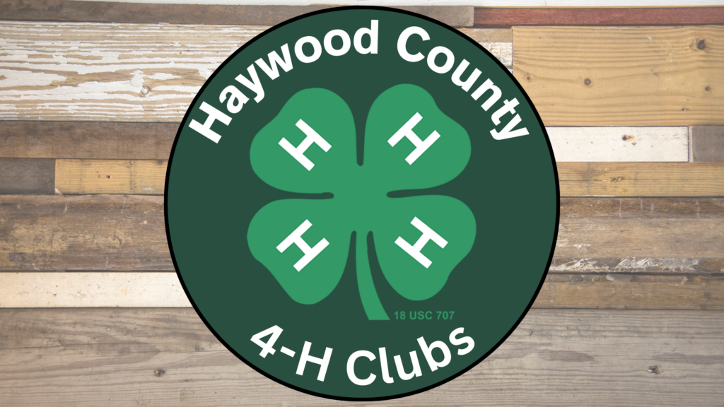 A green circle with a black border has a 4-H clover in the middle. Haywood County 4-H is wriiten in white around the edge of the circle. In the background are different colors of weathered wood slats.