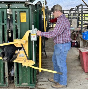 Cover photo for West District Youth Cattle Handling Contest