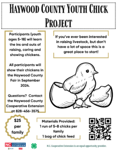 Information about the Haywood County Youth Chick Project with a black and white drawing of a chick coming out of an egg.