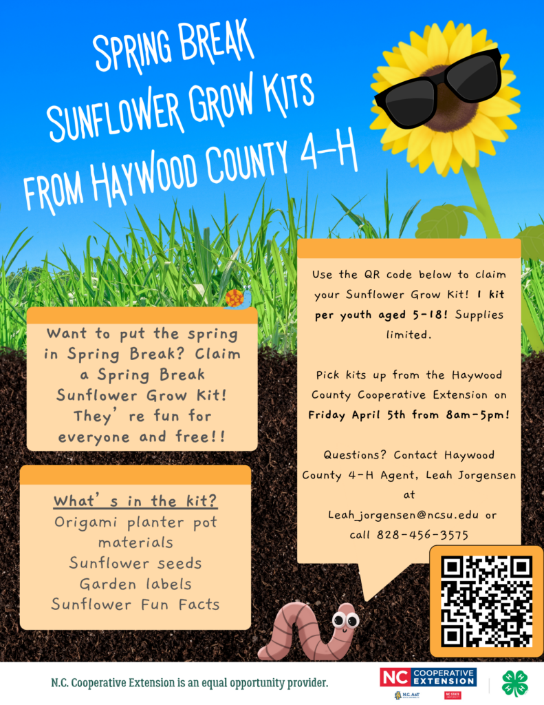 Spring Break Sunflower Grow Kit Flyer with information about kits. Cross Section of ground with yellow sunflower wearing sunglasses.