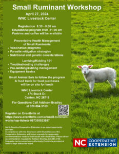 Cover photo for WNC Small Ruminant Workshop