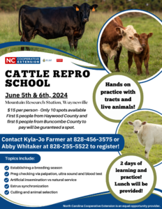Cover photo for Cattle Reproduction School