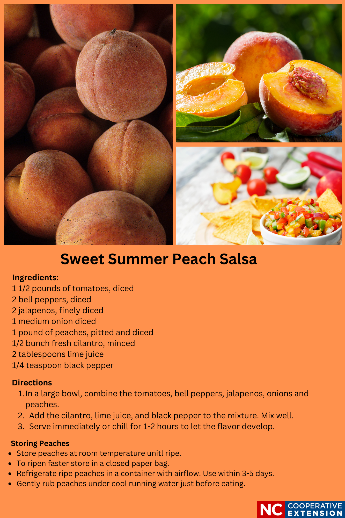 Sweet Summer Peach Salsa 