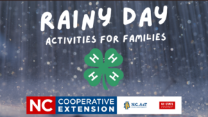 Rainy background with 4-H and Cooperative Extension Logo with heading "rainy day activities for families"