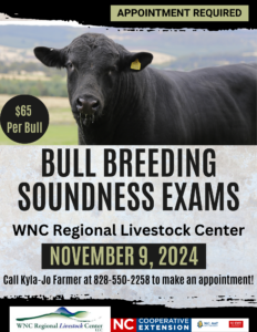 Cover photo for 2024 Fall Bull Breeding Soundness Exams