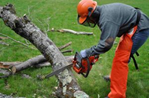 Cover photo for Chainsaw Safety Classes Offered on December 12th