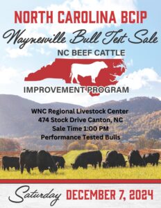 Cover photo for 2024 Waynesville Bull Test Sale