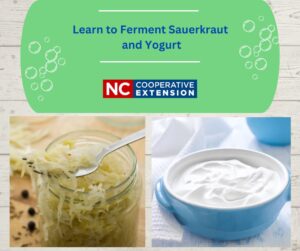 jar of sauerkraut with peppercorns on the side. Bowl of yogurt.