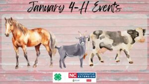 Cover photo for January 4-H Events