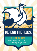 Cover photo for Protect Your Flock - Highly Pathogenic Avian Influenza