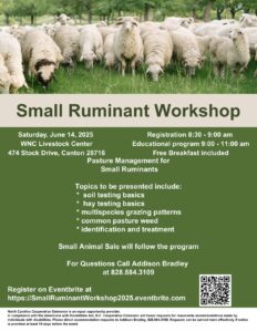 Cover photo for WNC Small Ruminant Workshop