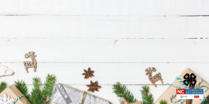 Cover photo for 4-H Holiday Activity Buckets: Fun for the Whole Family!