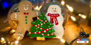 Cover photo for 4-H Holiday Craft Extravaganza & Family Party!